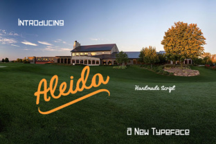 Aleida Handwritten Typeface for Campaign Branding