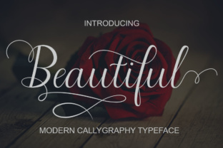 Beautiful Script Font Review: A Modern Calligraphy Typeface for Creative Branding