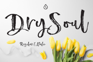 Dry Soul: The Brush-Based Typeface for Bold Editorial Design