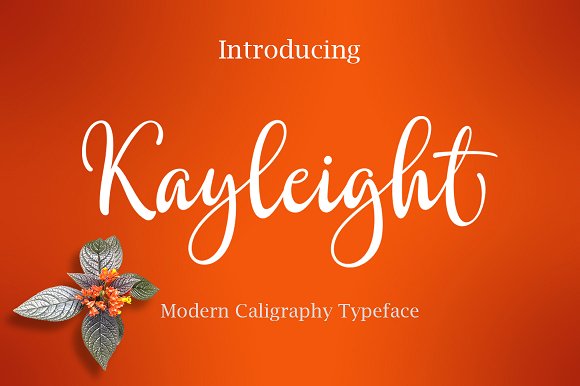Kayleight: A Premium Script Handwritten Font for Boutique Branding