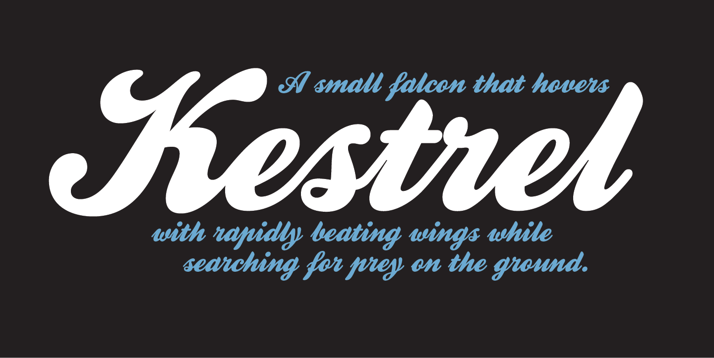 Kestrel Script Typeface Review for Boutique Branding