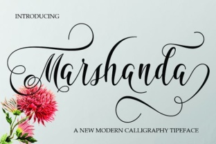 Marshanda Typeface Review for Modern Campaign Design