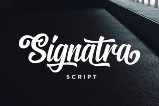 Signatra Script: A Web Designer’s Take on Playful Handwritten Typography